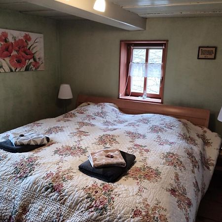 Oekologische Ferienwohnung Becker Kottmar Extérieur photo