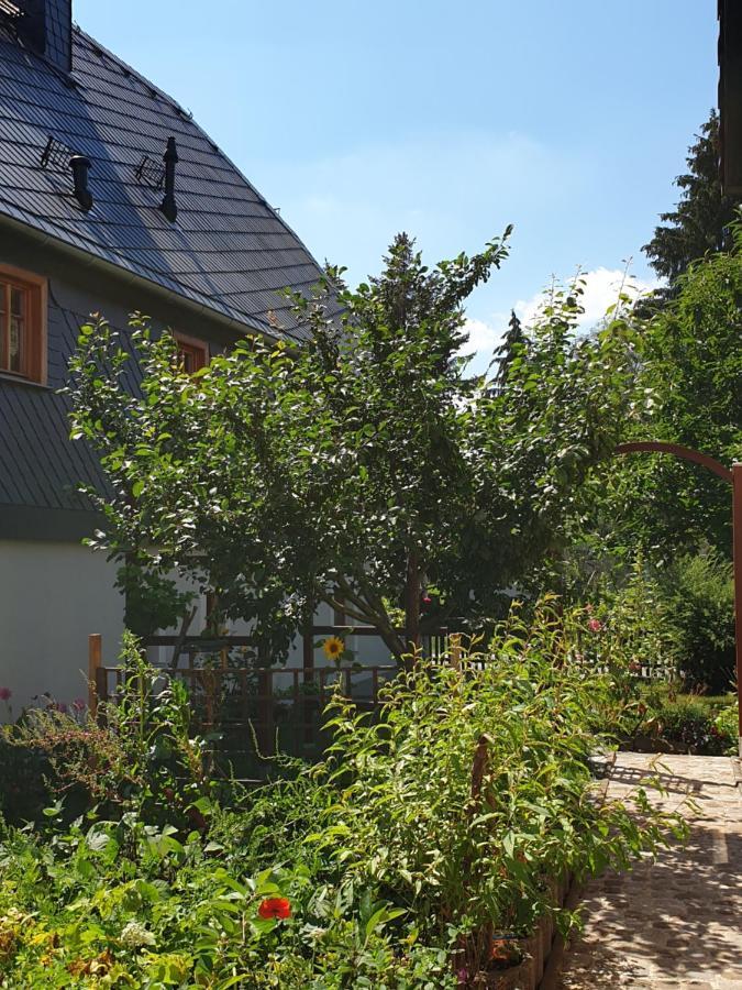 Oekologische Ferienwohnung Becker Kottmar Extérieur photo